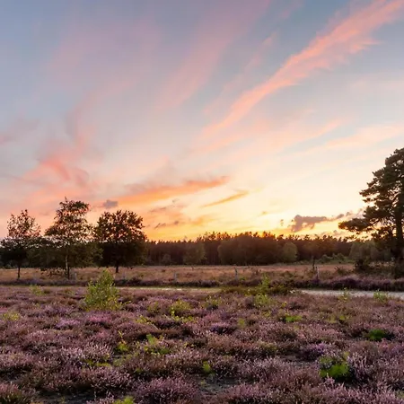 Boshuis Dreamstay Gorssel