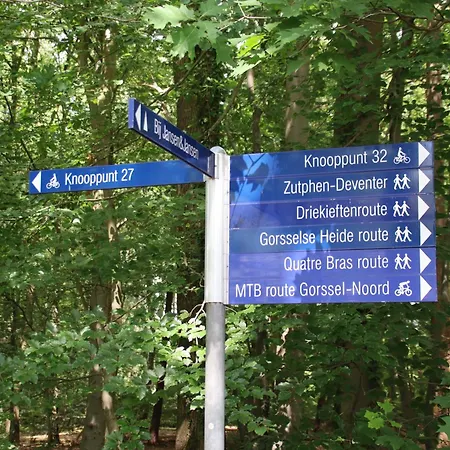 Boshuis Dreamstay *